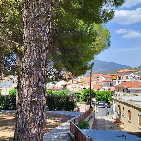Joanne's Lovely 2 Bedroom Apt. Apartment Paphos